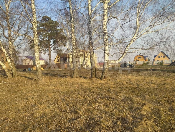 
  Продам  дачный участок, 9.65 соток, Курлек

. Фото 2.