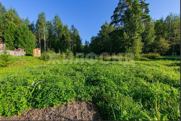 
  Продам дачу, 11.6 соток, сдт Чернобыль-2 (д Чернышевка)

. Фото 17.