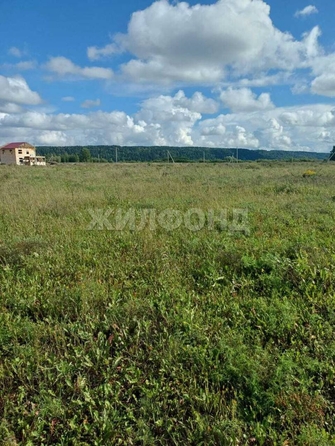 
  Продается земельный участок, 19.93 соток, поселок Чёрная Речка
. Фото 3.