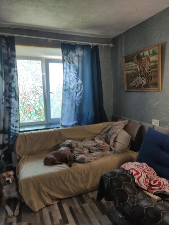
  Продается 1-комн. квартира, 16 м², Ивана Черных ул, д. 123
. Фото 2.