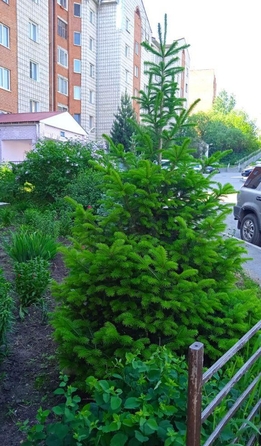 
  Продается 1-комн. квартира, 50 м², Ботанический пер, д. 16/3
. Фото 11.