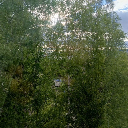 
  Продается 1-комн. квартира, 59 м², Пушкина ул, д. 52д
. Фото 9.