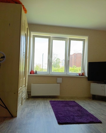 
   Продам 1-комнатную, 27 м², Петра Федоровского ул, 12

. Фото 3.