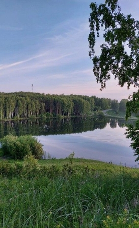 
   Продам дом, 24.7 м², Богашево

. Фото 8.