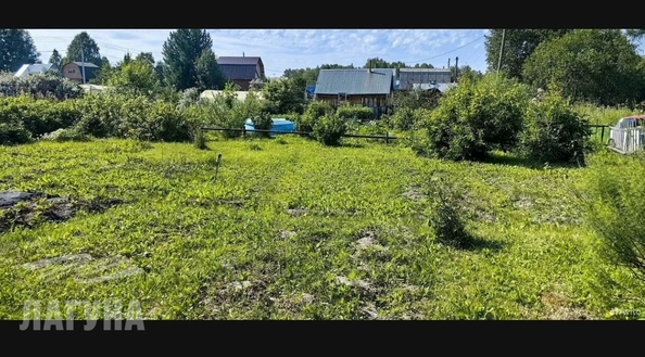 
  Продам  дачный участок, 5 соток, Томск

. Фото 1.