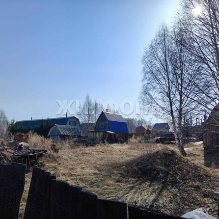 
  Продам  дачный участок, 15 соток, Томск

. Фото 6.