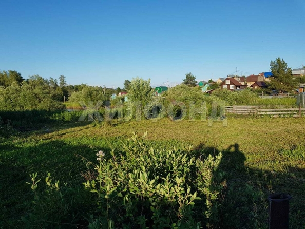 
  Продам  дачный участок, 7 соток, Томск

. Фото 1.