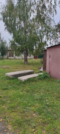 
  Продается земельный участок, 6.35 соток, село Половинка
. Фото 3.