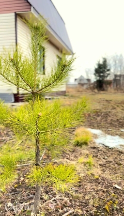 
  Продается дом, 123 м², Томск
. Фото 4.
