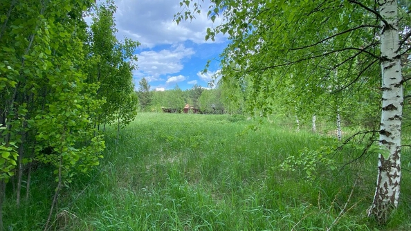 
  Продается земельный участок, 12 соток, поселок Синий Утёс
. Фото 2.