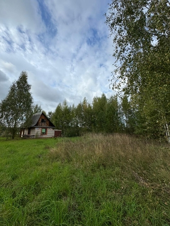 
  Продается дача, 20.6 м², село Киреевск
. Фото 15.