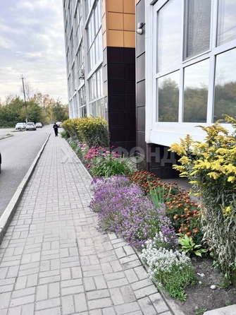 
  Продается студия, 32 м², Кедровая ул, д. 34
. Фото 17.