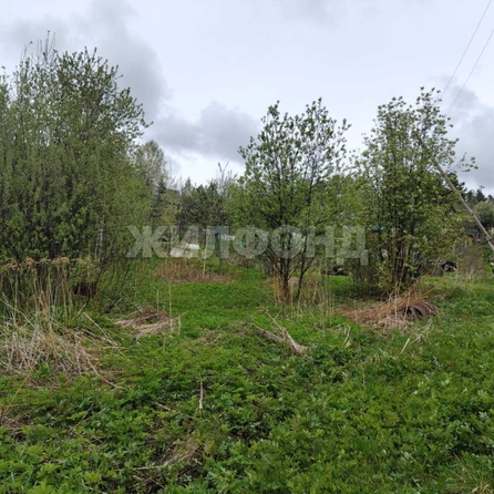
  Продается земельный участок, 6.9 соток, Томск
. Фото 9.