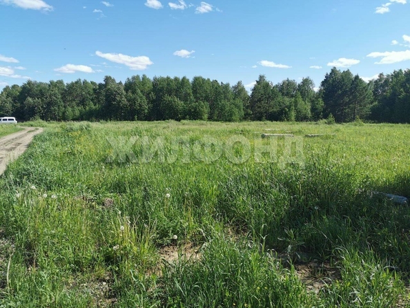 
  Продается земельный участок, 10 соток, село Кафтанчиково
. Фото 2.