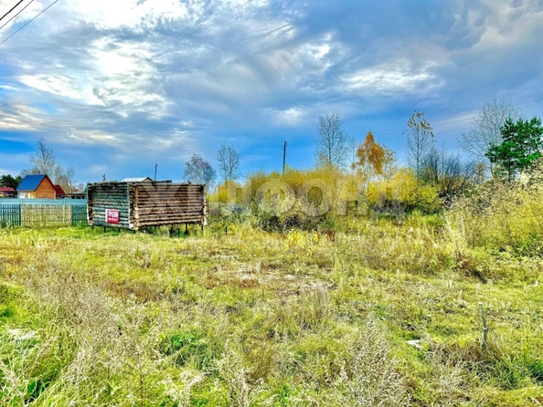 
  Продается земельный участок, 11.1 соток, село Курлек
. Фото 1.