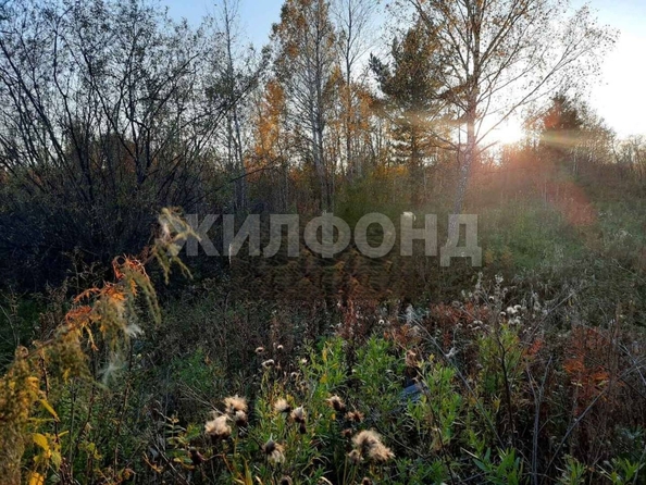 
  Продается земельный участок, 25 соток, село Лучаново
. Фото 2.