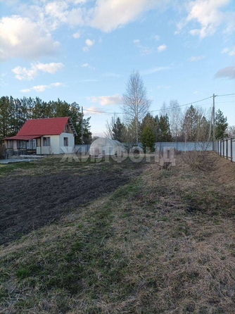 
  Продается земельный участок, 17 соток, село Корнилово
. Фото 7.