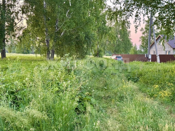 
  Продается земельный участок, 9.76 соток, село Курлек
. Фото 15.