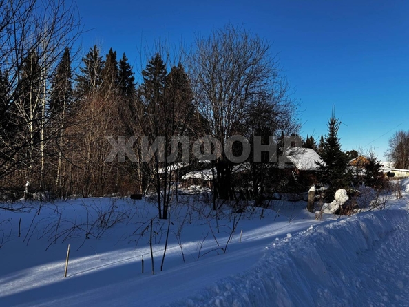 
  Продается земельный участок, 12.7 соток, село Курлек
. Фото 5.