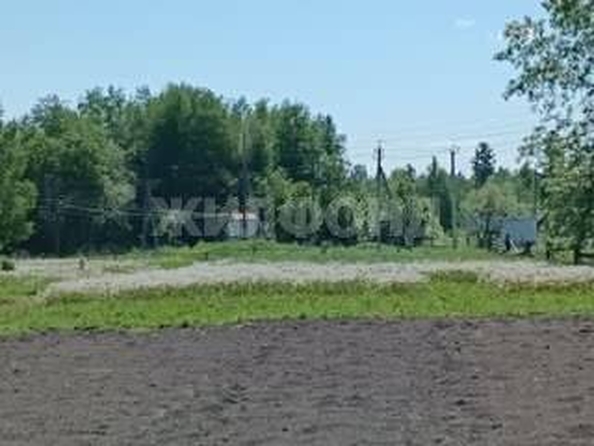 
  Продается земельный участок, 8 соток, деревня Барабинка
. Фото 5.