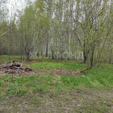 
  Продается земельный участок, 7.04 соток, Томск
. Фото 3.