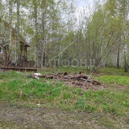 
  Продается земельный участок, 7.04 соток, Томск
. Фото 7.