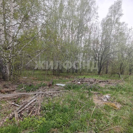 
  Продается земельный участок, 7.04 соток, Томск
. Фото 10.