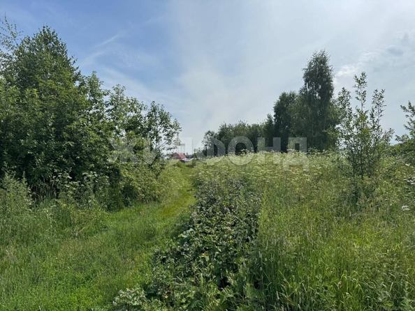 
  Продается земельный участок, 14.94 соток, село Калтай
. Фото 3.