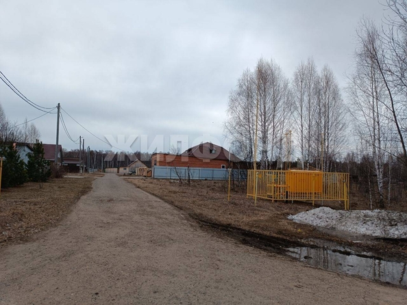 
  Продается земельный участок, 13 соток, деревня Нащёково
. Фото 2.