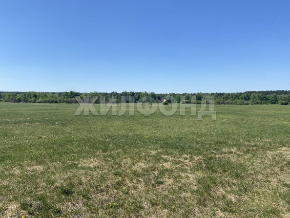 
  Продается земельный участок, 15 соток, село Курлек
. Фото 19.