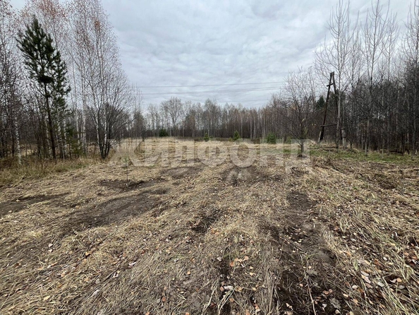 
  Продается земельный участок, 10 соток, поселок Синий Утёс
. Фото 1.