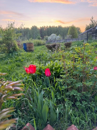 
  Продается дача, 77.6 м², село Курлек
. Фото 14.