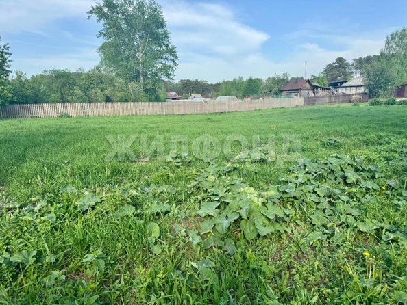 
  Продается земельный участок, 15 соток, село Курлек
. Фото 2.