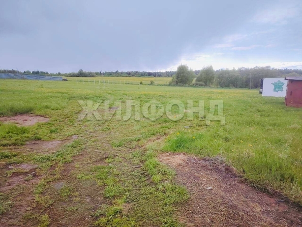 
  Продается земельный участок, 65 соток, деревня Лязгино
. Фото 2.