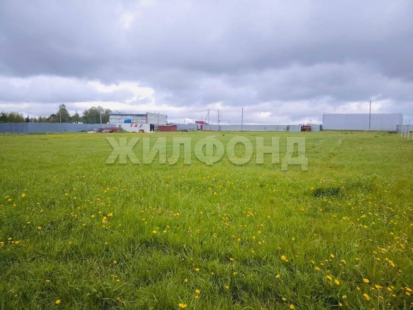 
  Продается земельный участок, 65 соток, деревня Лязгино
. Фото 4.