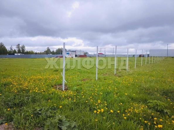 
  Продается земельный участок, 65 соток, деревня Лязгино
. Фото 5.