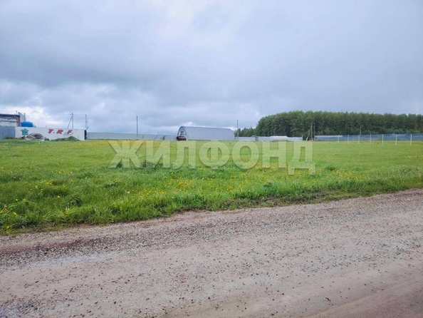 
  Продается земельный участок, 65 соток, деревня Лязгино
. Фото 6.