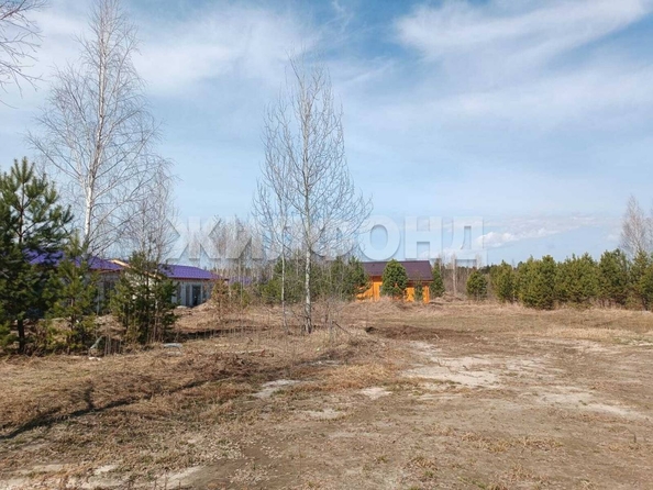 
  Продается земельный участок, 6 соток, деревня Кисловка
. Фото 4.