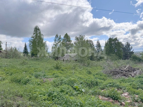 
  Продается земельный участок, 10 соток, село Коларово
. Фото 7.