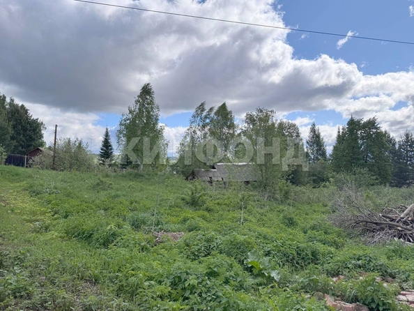 
  Продается земельный участок, 10 соток, село Коларово
. Фото 9.