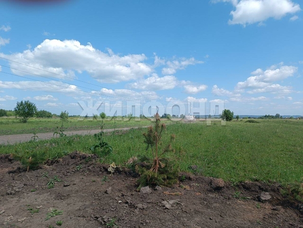 
  Продается земельный участок, 15 соток, село Калтай
. Фото 3.