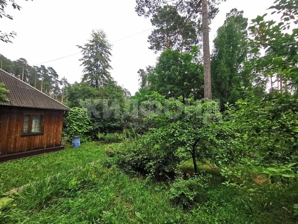 
  Продается дом, 80 м², село Тимирязевское
. Фото 3.