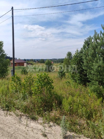 
  Продается земельный участок 9.89 соток. Фото 1.