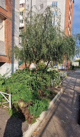 
  Сдается 1-комн. квартира 37 м². Фото 2.