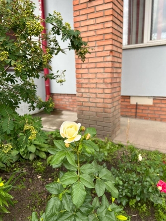 
  Продается 2-комн. квартира 55 м². Фото 11.