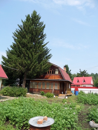 
  Продам дачу 75 м². Фото 4.