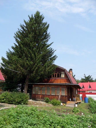 
  Продам дачу 75 м². Фото 6.