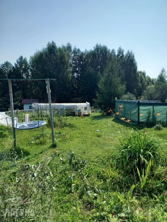 
  Продается дача 50 м². Фото 4.
