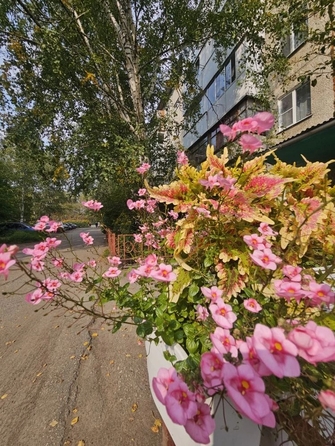 
  Продам Доля в квартире 13.3 м². Фото 18.