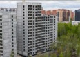 Гренландия, Лес дом №6: Ход строительства 22 мая 2026